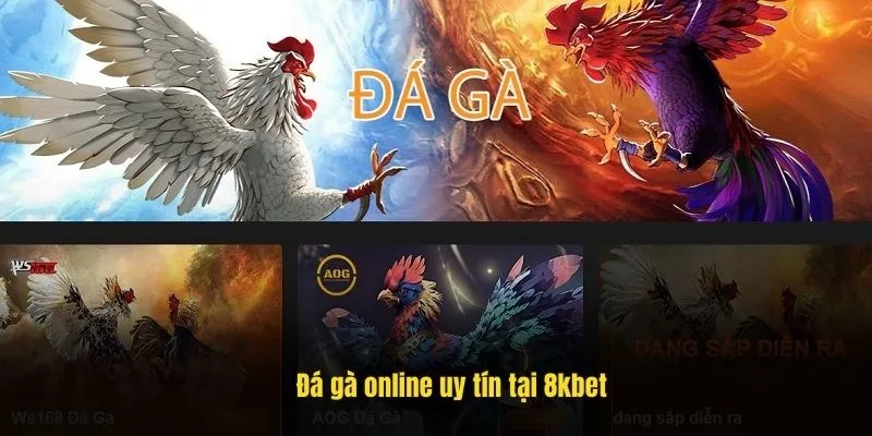 Đá gà online uy tín tại 8kbet